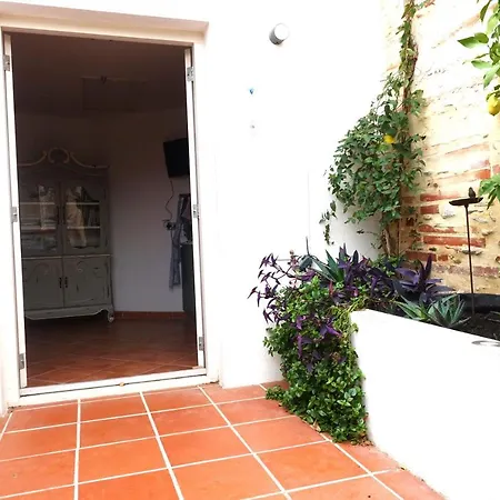 Maison Vermeille Emplacement Exceptionnel * アルジェレス・シュル・メール