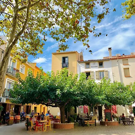 Maison Vermeille Emplacement Exceptionnel Argeles-sur-Mer